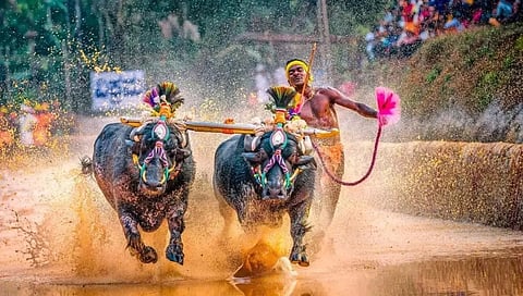 ಸಂಗ್ರಹ ಚಿತ್ರ