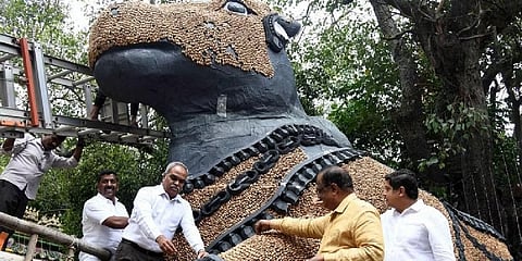 ನಂದಿ ಪ್ರತಿಮೆಗೆ ಕಡಲೆಕಾಯಿಯಿಂದ ಅಲಂಕಾರ ಮಾಡುತ್ತಿರುವುದು.