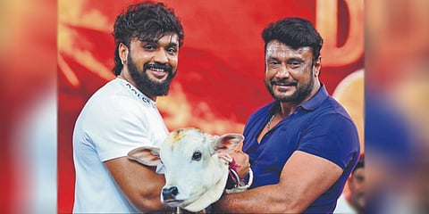 ಧನ್ವೀರ್‌ಗೆ ಕರುವನ್ನು ಗಿಫ್ಟ್ ಆಗಿ ನೀಡಿದ ನಟ ದರ್ಶನ್