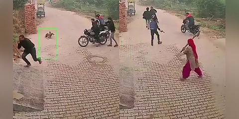 ರೌಡಿಗಳನ್ನು ಓಡಿಸಿದ ಮಹಿಳೆ