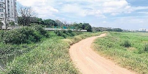 ಬೆಳ್ಳಂದೂರು ಕೆರೆ