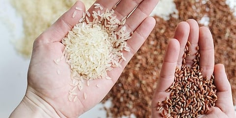 ಅಕ್ಕಿ (ಸಂಗ್ರಹ ಚಿತ್ರ)