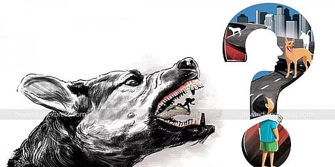 Street Dogs Casual Images