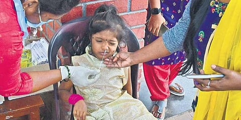 ಸಂಗ್ರಹ ಚಿತ್ರ