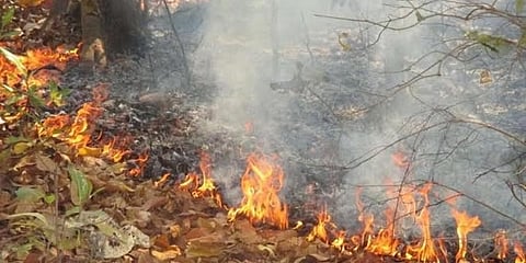 ಸಾಂದರ್ಭಿಕ ಚಿತ್ರ