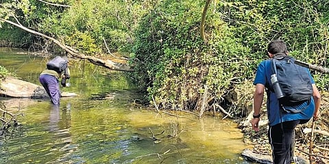 ಕೊಯ್ಲೆ ಮೀನುಗಳು ಸಂರಕ್ಷಣೆಗೆ ಸಮೀಕ್ಷೆ ನಡೆಸುತ್ತಿರುವುದು.