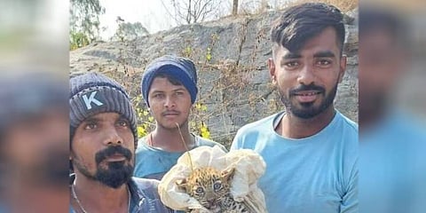 ಚಿರತೆ ಮರಿಗಳನ್ನು ರಕ್ಷಿಸಿದ ಸ್ಥಳೀಯರು