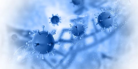 H3N2 ಇನ್‌ಫ್ಲುಯೆಂಜಾ (ಸಾಂಕೇತಿಕ ಚಿತ್ರ)
