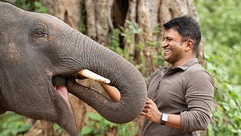 ಗಂಧದ ಗುಡಿ ಸಿನಿಮಾ ಸ್ಟಿಲ್