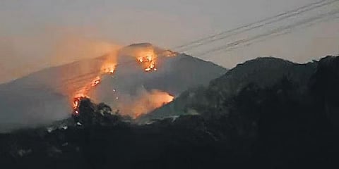 ಸಂಗ್ರಹ ಚಿತ್ರ