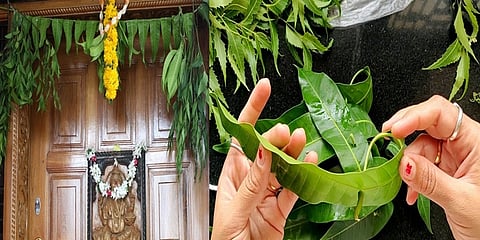 ಮನೆ ಬಾಗಿಲಿಗೆ ತೋರಣ