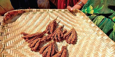 ಸಾಂದರ್ಭಿಕ ಚಿತ್ರ