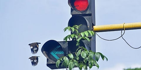 ಪ್ರಾತಿನಿಧಿಕ ಚಿತ್ರ
