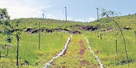 ‘ಜನ ವನ’ ಯೋಜನೆಯಲ್ಲಿ ಇದುವರೆಗೆ 10,000 ಸಸಿಗಳನ್ನು ನೆಟ್ಟಿರುವುದು.