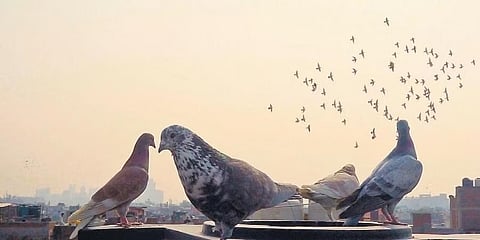ಸಾಂದರ್ಭಿಕ ಚಿತ್ರ