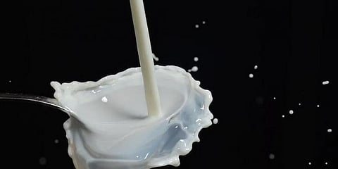 ಹಾಲಿನ ಸಾಂದರ್ಭಿಕ ಚಿತ್ರ