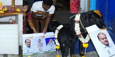 ಮಂಡ್ಯದ ಭೈರವ ಎಂಬ ನಾಯಿ ಮುಂದಿನ ಸಿಎಂ ಹೆಚ್ ಡಿ ಕುಮಾರಸ್ವಾಮಿ ಎಂದು ತೋರಿಸುತ್ತಿರುವ ಫೋಟೋ