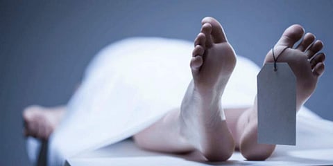 ಸಂಗ್ರಹ ಚಿತ್ರ