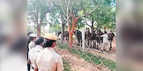 ಬಿಡಿಎ ಒತ್ತುವರಿ ತೆರವು ಕಾರ್ಯಾಚರಣೆ