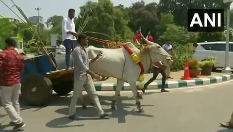 ಎತ್ತಿನಗಾಡಿಯಲ್ಲಿ ವಿಧಾನಸೌಧಕ್ಕೆ ಆಗಮಿಸಿದ ಕಾಂಗ್ರೆಸ್ ಶಾಸಕ ರವಿಕುಮಾರ್ ಗೌಡ ಗಾಣಿಗ.