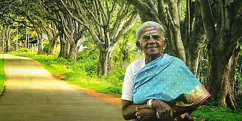 ಸಾಲು ಮರದ ತಿಮ್ಮಕ್ಕ