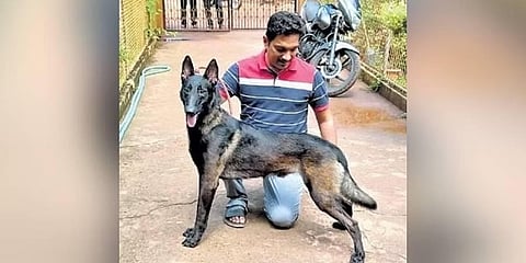 ಅಪರೂಪದ ಬಣ್ಣ ಹೊಂದಿರುವಬೆಲ್ಜಿಯನ್ ಮಾಲಿನೋಯಿಸ್‌ ನಾಯಿಯೊಂದಿಗೆ ರಾಘವೇಂದ್ರ ಭಟ್.
