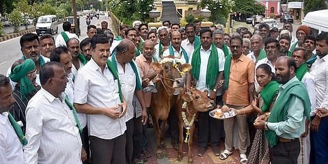 ಗೋವುಗಳೊಂದಿಗೆ ರಾಜ್ಯ ರೈತ ಸಂಘದ ಸದಸ್ಯರು(ಸಂಗ್ರಹ ಚಿತ್ರ)