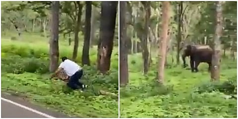 ಪ್ರವಾಸಿಗನನ್ನು ಅಟ್ಟಾಡಿಸಿಕೊಂಡು ಬಂದ ಕಾಡಾನೆ