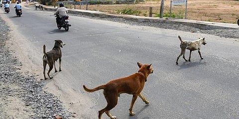 ಸಾಂದರ್ಭಿಕ ಚಿತ್ರ