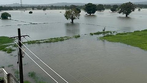 ಭಾರೀ ಮಳೆಯಿಂದಾಗಿ ಬೆಳೆ ಮುಳುಗಡೆಯಾಗಿರುವುದು.
