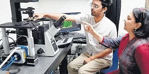 ರೋಹಿಣಿ ನಿಲೇಕಣಿ