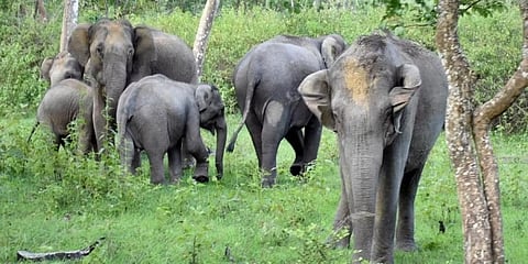 ಸಾಂದರ್ಭಿಕ ಚಿತ್ರ