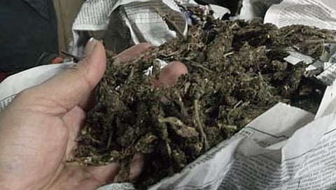 ಸಂಗ್ರಹ ಚಿತ್ರ