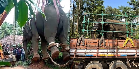 ಪುಂಡಾನೆ ಸೆರೆ