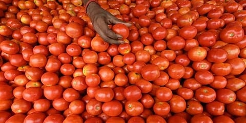 ಸಾಂದರ್ಭಿಕ ಚಿತ್ರ
