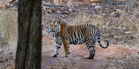 ಸಾಂದರ್ಭಿಕ ಚಿತ್ರ