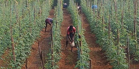 ಸಾಂದರ್ಭಿಕ ಚಿತ್ರ