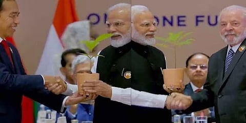 ಪ್ರಧಾನಿ ಮೋದಿಗೆ ಸಸಿ ನೀಡುತ್ತಿರುವ ಚಿತ್ರ