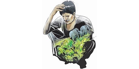 ಸಾಂದರ್ಭಿಕ ಚಿತ್ರ