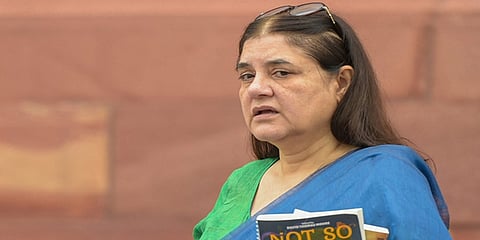ಬಿಜೆಪಿ ಸಂಸದೆ ಮನೇಕಾ ಗಾಂಧಿ