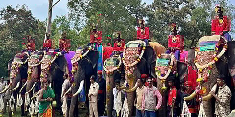 ಸಾಂದರ್ಭಿಕ ಚಿತ್ರ