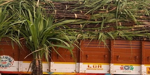 ಕಬ್ಬು ತುಂಬಿದ ಲಾರಿ