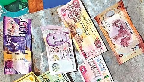 ಸಂಗ್ರಹ ಚಿತ್ರ