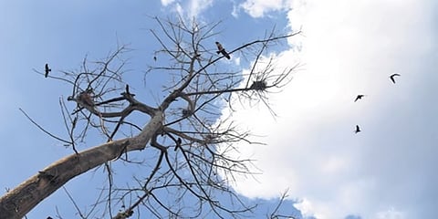ಸಾಂದರ್ಭಿಕ ಚಿತ್ರ