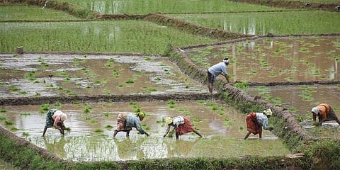 ಸಾಂದರ್ಭಿಕ ಚಿತ್ರ