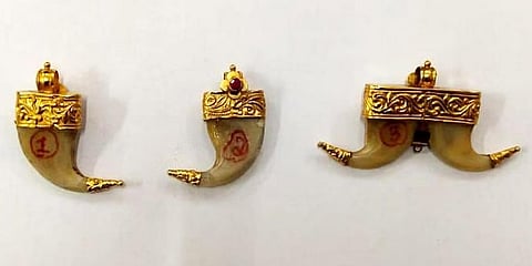 ಹುಲಿ ಉಗುರು