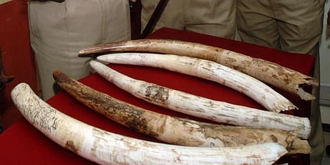 ಸಾಂಕೇತಿಕ ಚಿತ್ರ)