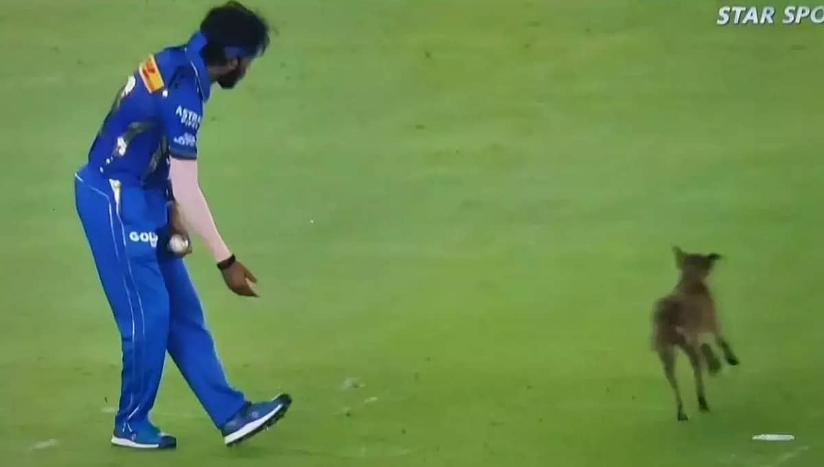IPL 2024: MI vs GT ಪಂದ್ಯದ ವೇಳೆ ಪಿಚ್ಗೆ ನುಗ್ಗಿದ ನಾಯಿ, ಅಭಿಮಾನಿಗಳಿಂದ ‘ಹಾರ್ದಿಕ್, ಹಾರ್ದಿಕ್’ ಘೋಷಣೆ