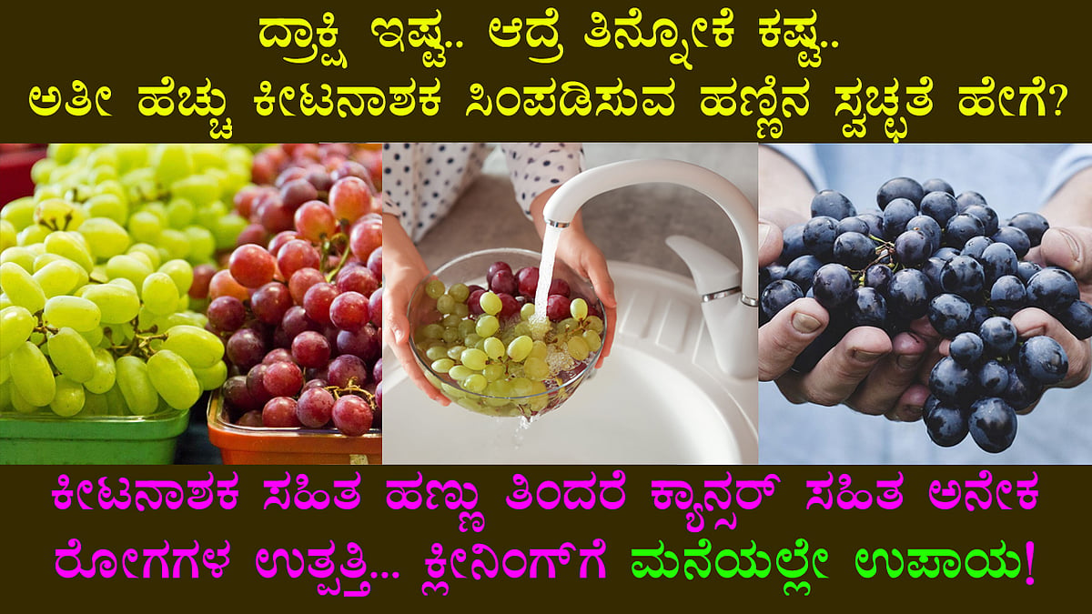 ದ್ರಾಕ್ಷಿ ಇಷ್ಟ.. ಆದ್ರೆ ತಿನ್ನೋಕೆ ಕಷ್ಟ.. ಅತೀ ಹೆಚ್ಚು ಕೀಟನಾಶಕ ಸಿಂಪಡಿಸುವ ಹಣ್ಣಿನ ಸ್ವಚ್ಛತೆಗೆ ಮನೆಯಲ್ಲೇ ಇದೆ ಉಪಾಯ!