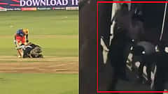 IPL 2024: 'ಕರುಣೆಯೇ ಇಲ್ಲ'! ಕೊಹ್ಲಿ ಕಾಲಿಗೆ ಬಿದ್ದ ಅಭಿಮಾನಿಗೆ ಹಿಗ್ಗಾಮುಗ್ಗಾ ಥಳಿಸಿದ ಭದ್ರತಾ ಸಿಬ್ಬಂದಿ, ವಿಡಿಯೋ ವೈರಲ್!